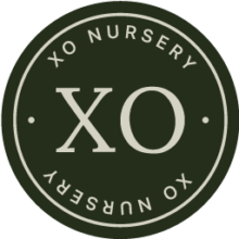The XO Nursery